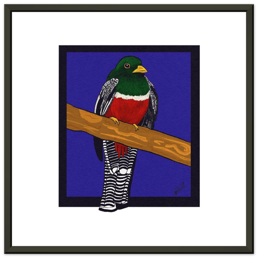 Hand-drawn Collared Trogon art print showing vibrant emerald-green tropical bird with red belly in metal frame on premium matte paper