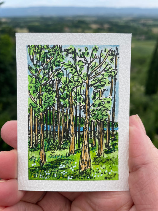 ACEO Original Watercolour Landscape Painting – Spring Forest Scene, France 3.5x2.5" (No.209)